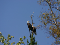 img_5103.jpg